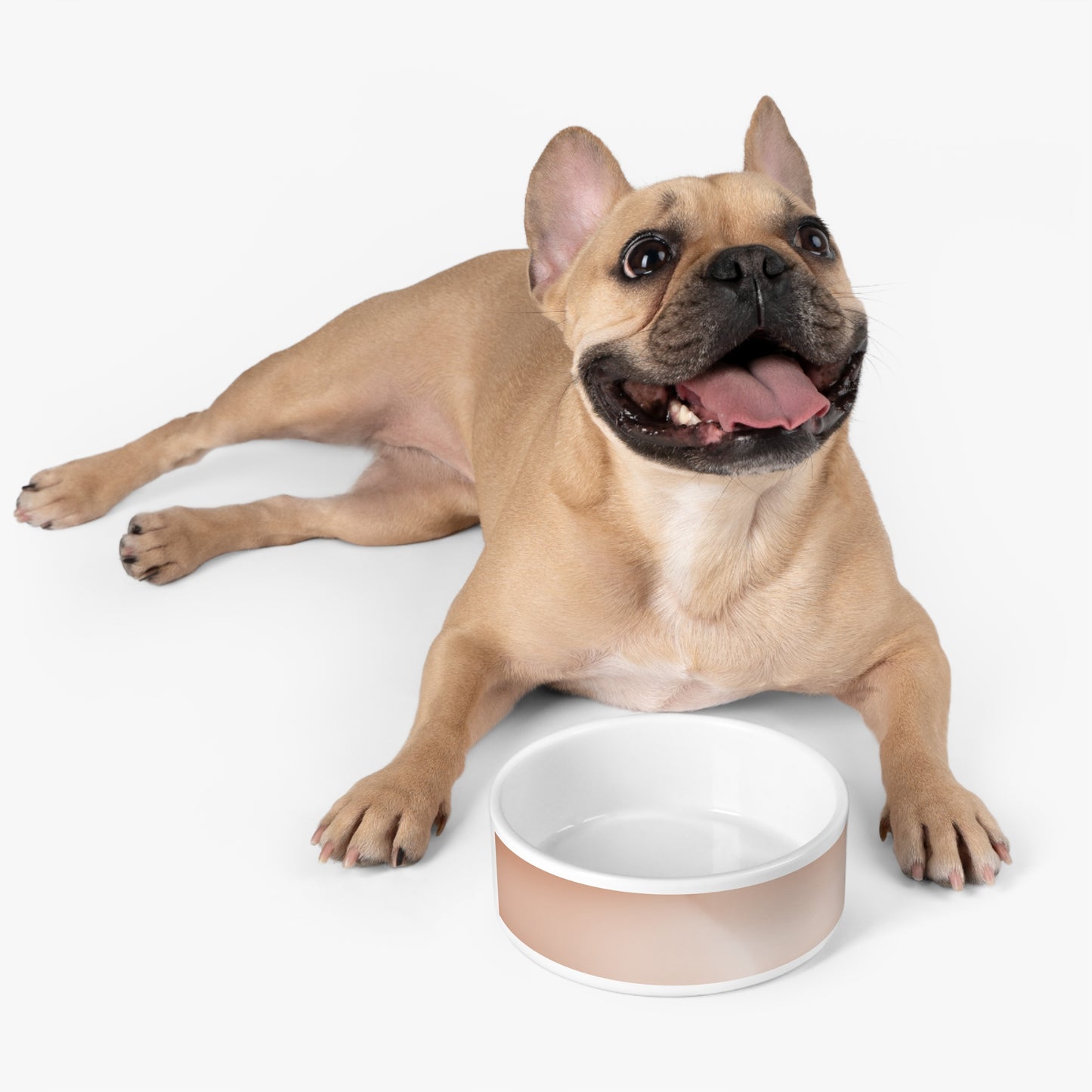 Soft Fade 16 oz Pet Bowl