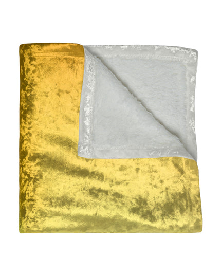 Phoenix Fade 50" x 60" Crushed Velvet Blanket