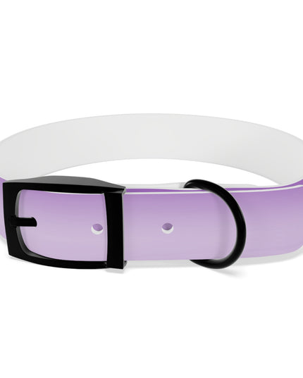 Soft Lavender Fade Medium Dog Collar