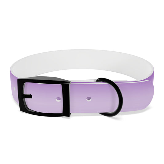 Soft Lavender Fade Medium Dog Collar