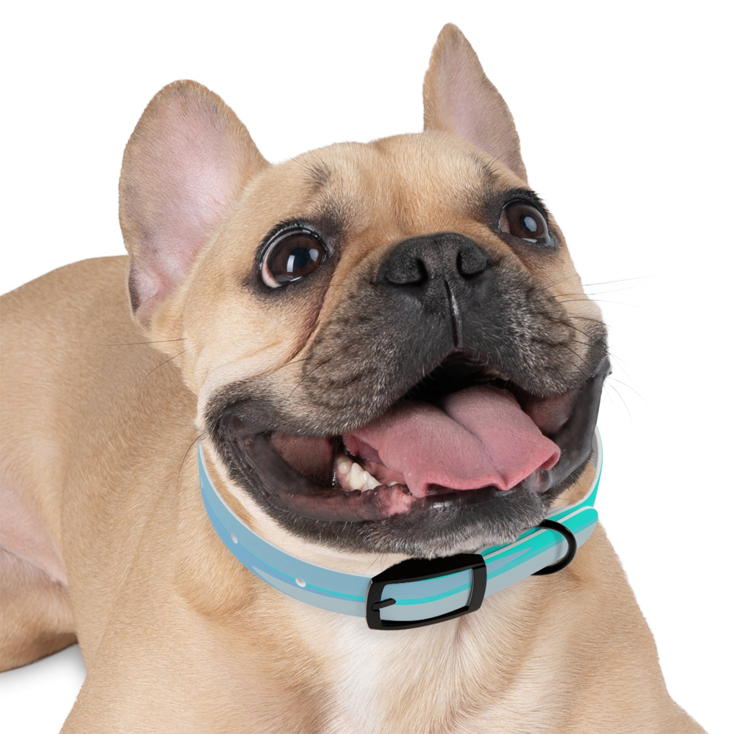 Pastel Tan and Tif Patches Small Dog Collar