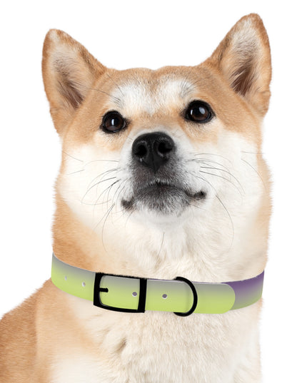 Purple Golden Fade Extra Large Dog Collar