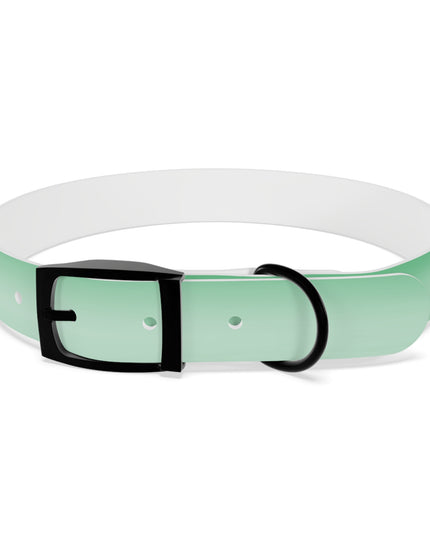 Mint Fade Large Dog Collar