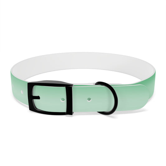 Mint Fade Large Dog Collar