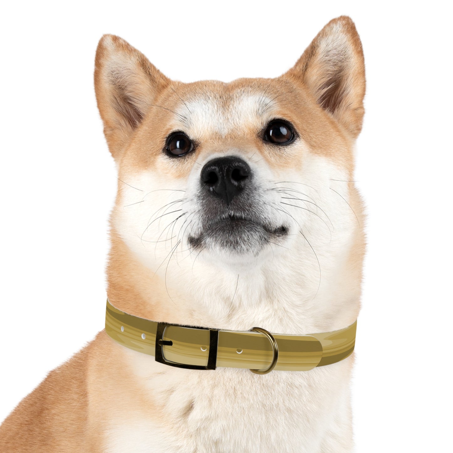 Brown Wavey Medium Dog Collar