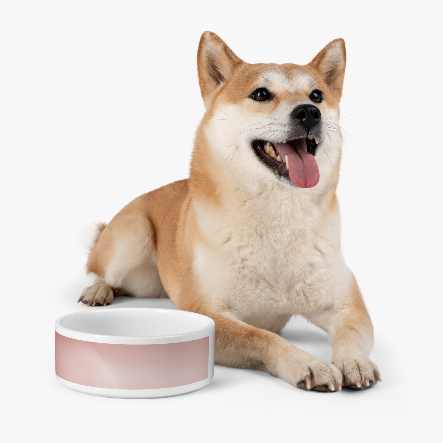 Rose Red Fade 16 oz Pet Bowl