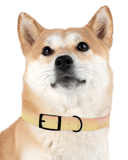 Hot Peach Fade Large Dog Collar