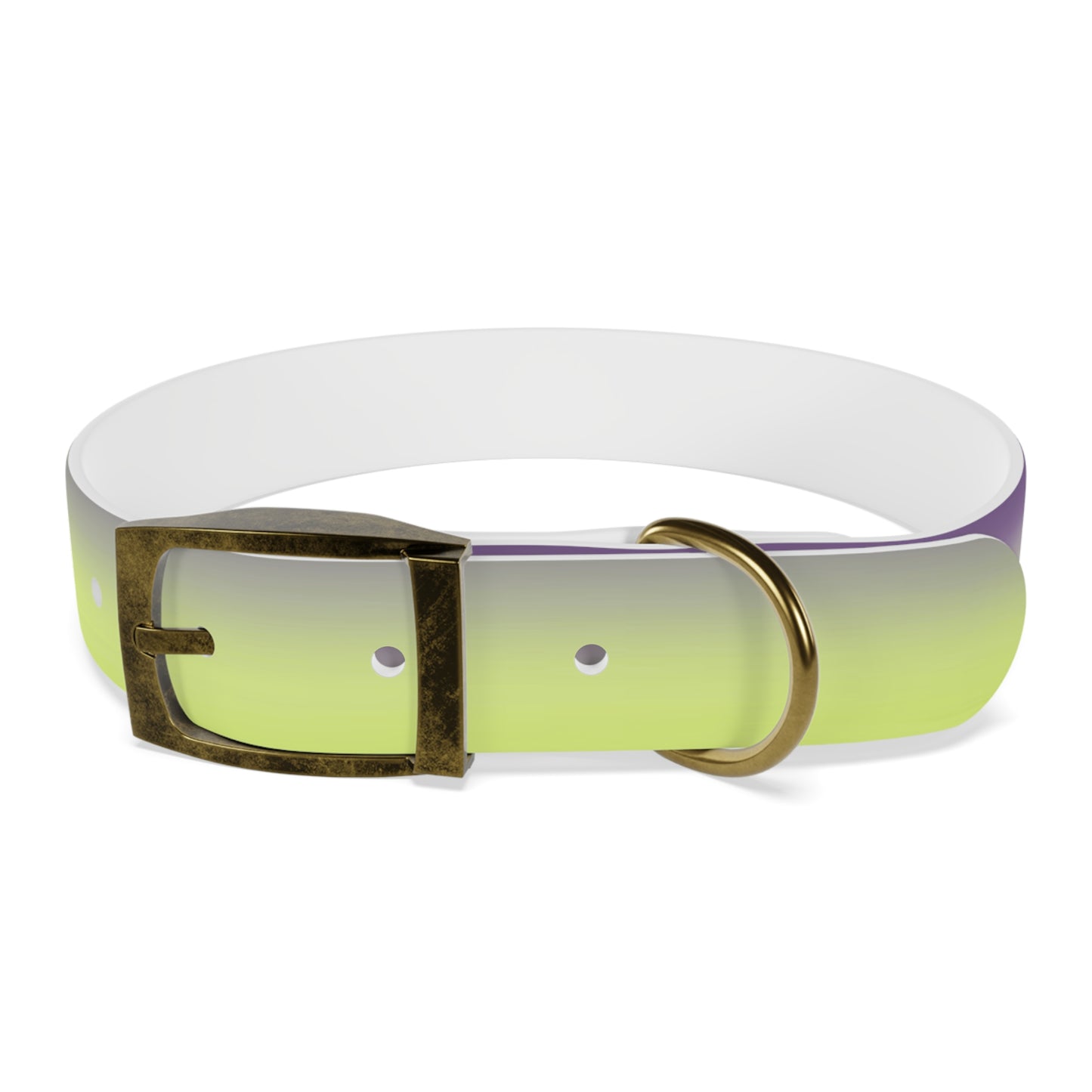 Purple Golden Fade Medium Dog Collar