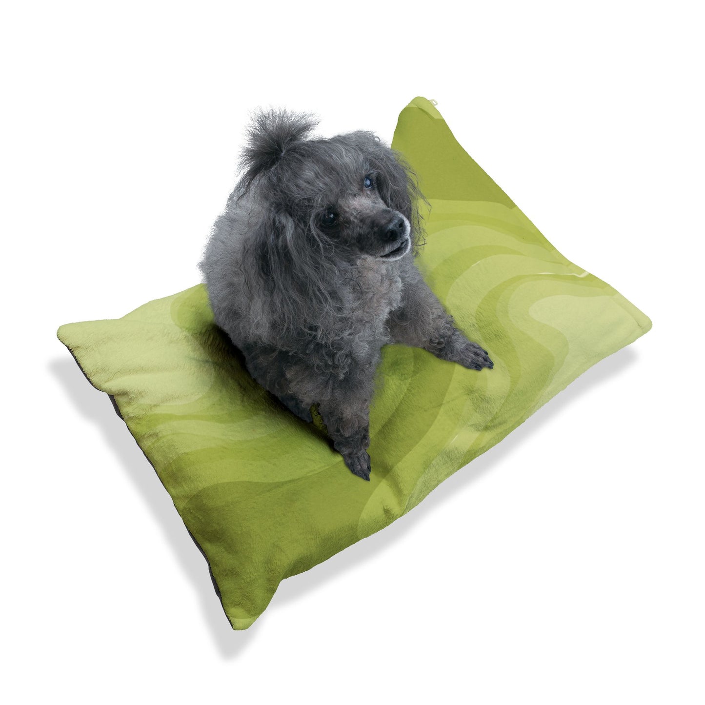Lemon Wavey 28" × 18" Pet Bed