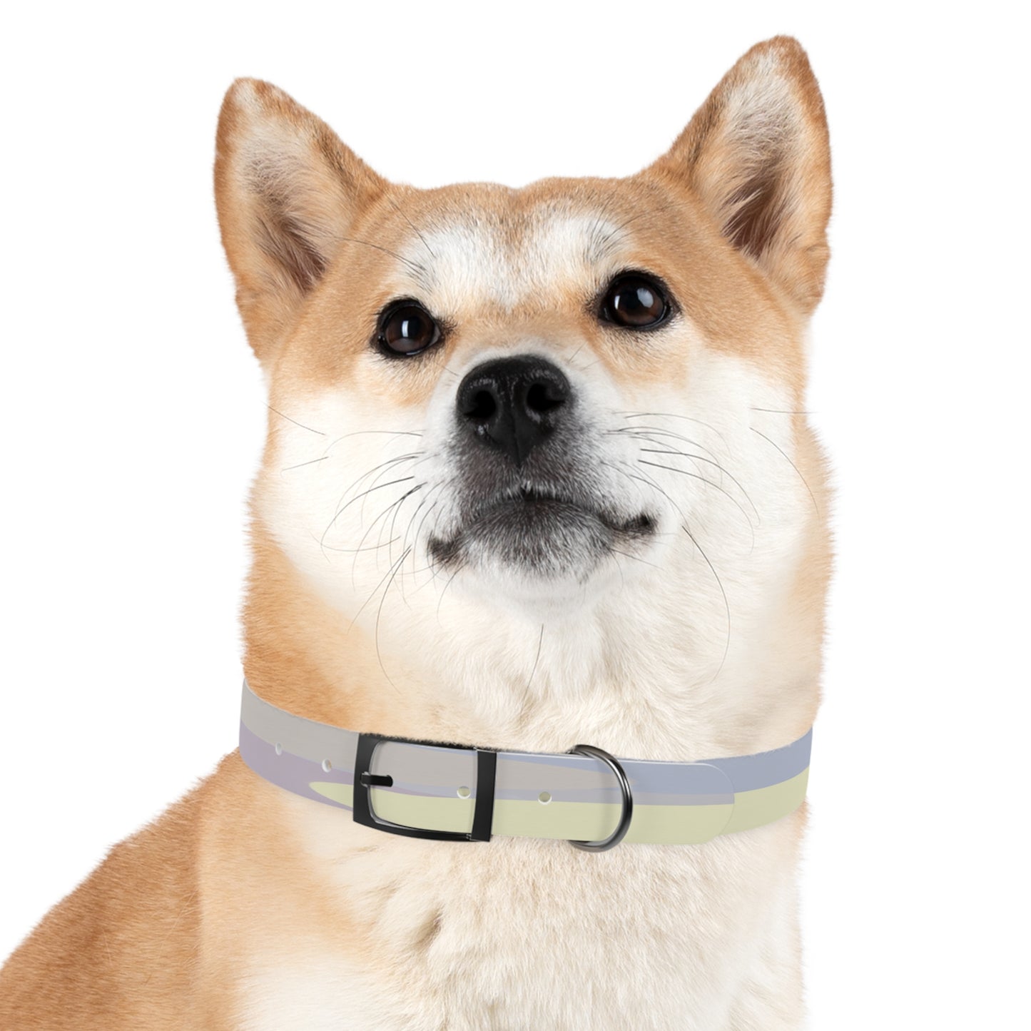 Pastel Soft Blue and Soft White Patches Medium Dog Collar