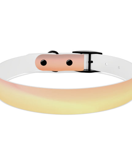 Hot Peach Fade Large Dog Collar