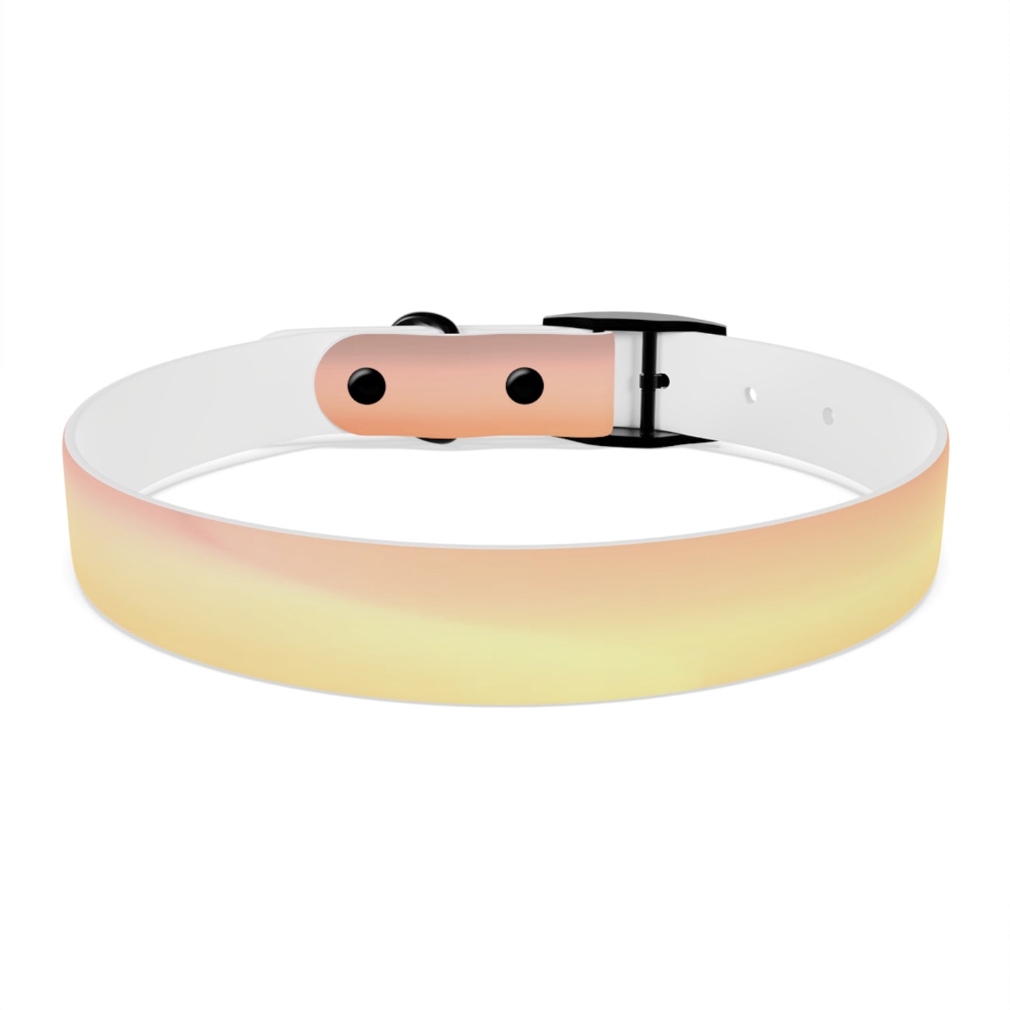 Hot Peach Fade Large Dog Collar