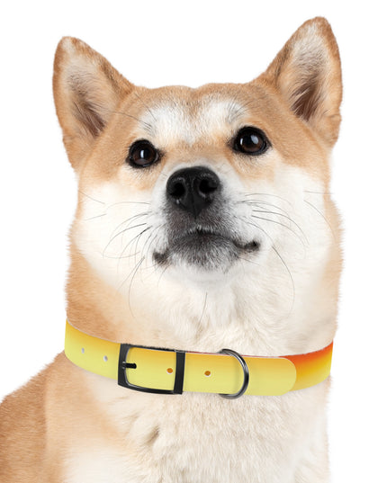 Phoenix Fade Medium Dog Collar