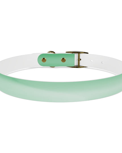 Mint Fade Extra Large Dog Collar