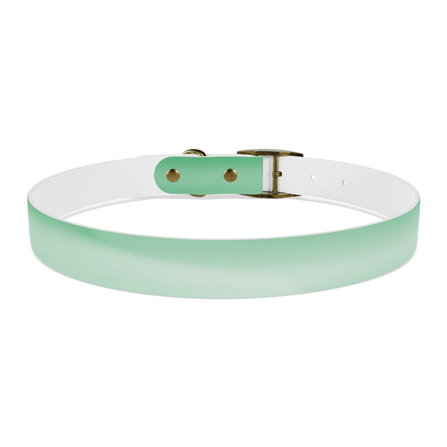 Mint Fade Extra Large Dog Collar