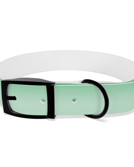 Mint Fade Medium Dog Collar