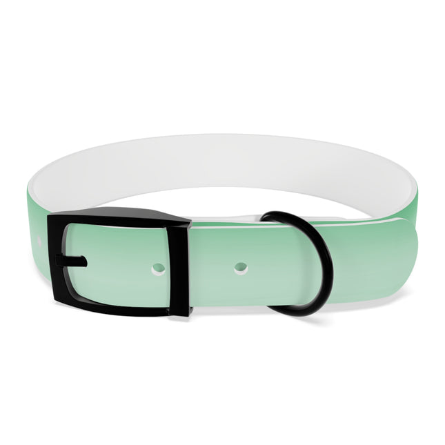 Mint Fade Medium Dog Collar