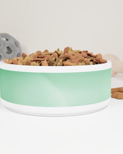 Mint Fade 16 oz Pet Bowl