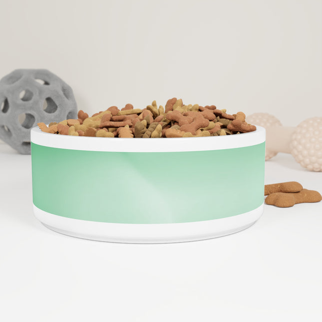Mint Fade 16 oz Pet Bowl