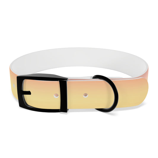 Hot Peach Fade Medium Dog Collar