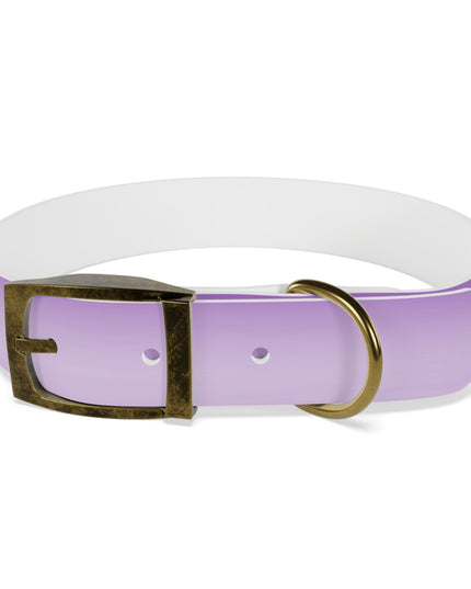 Soft Lavender Fade Medium Dog Collar
