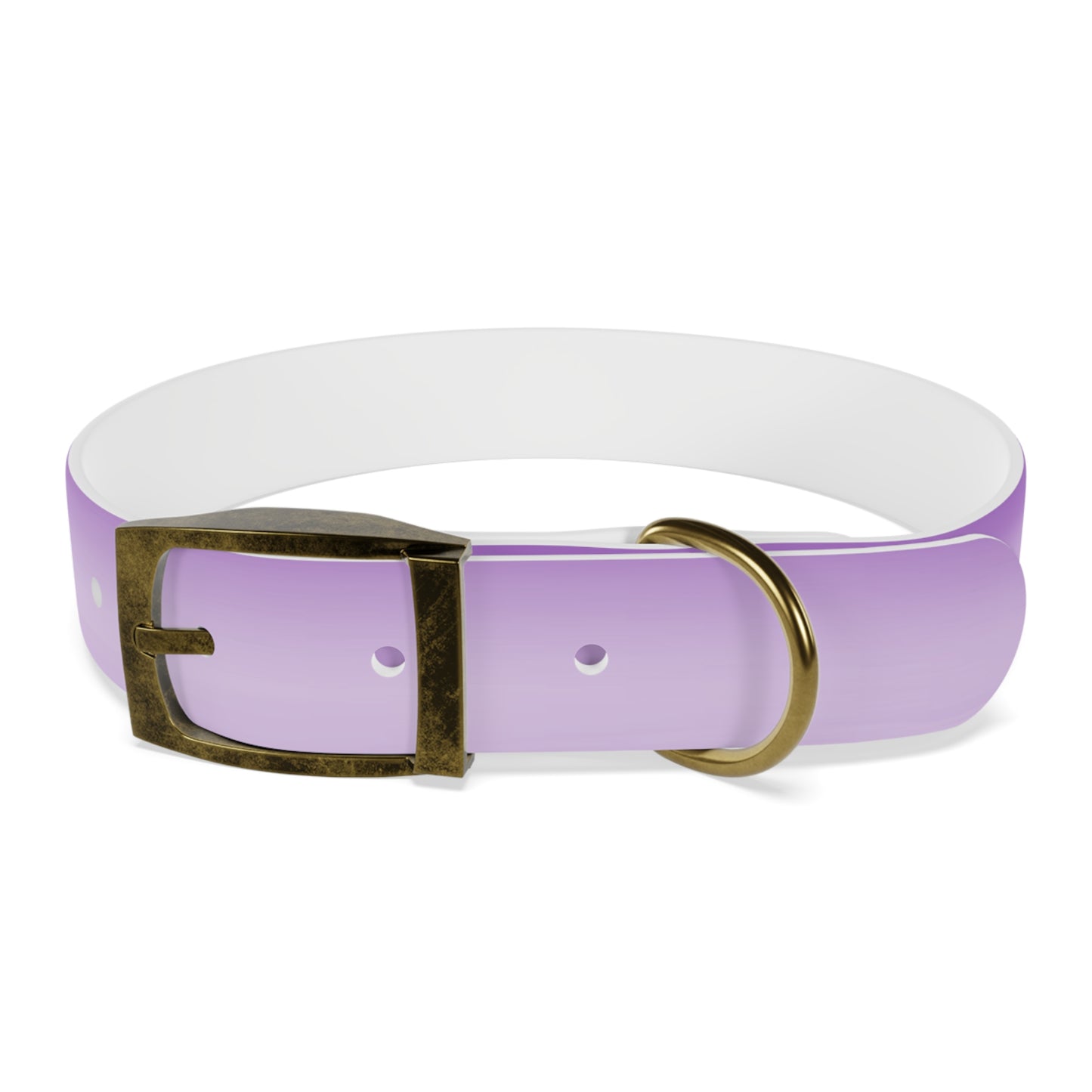 Soft Lavender Fade Medium Dog Collar