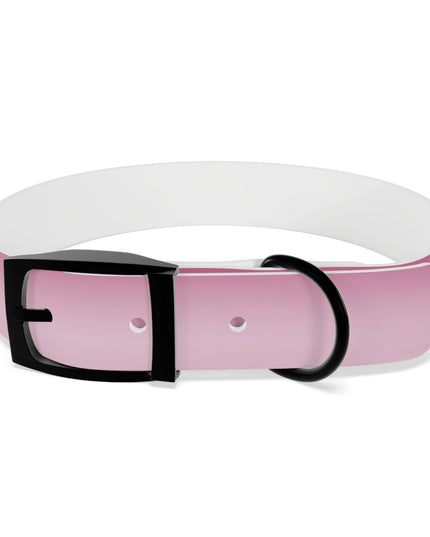 Pink Blush Fade Medium Dog Collar