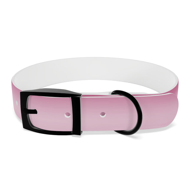 Pink Blush Fade Medium Dog Collar