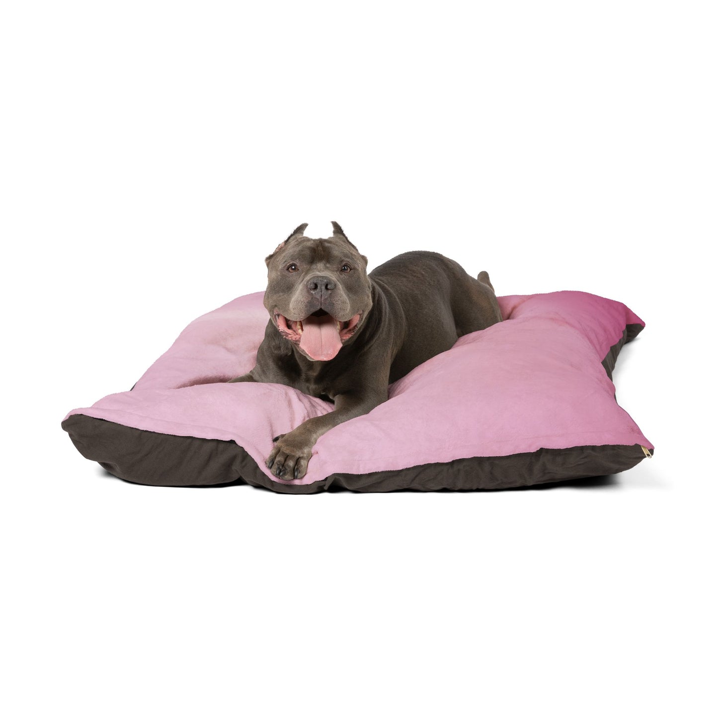 Pink Blush Fade 50" × 40" Pet Bed