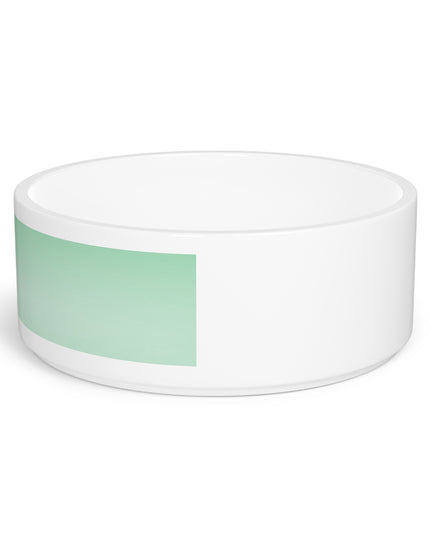 Mint Fade 16 oz Pet Bowl