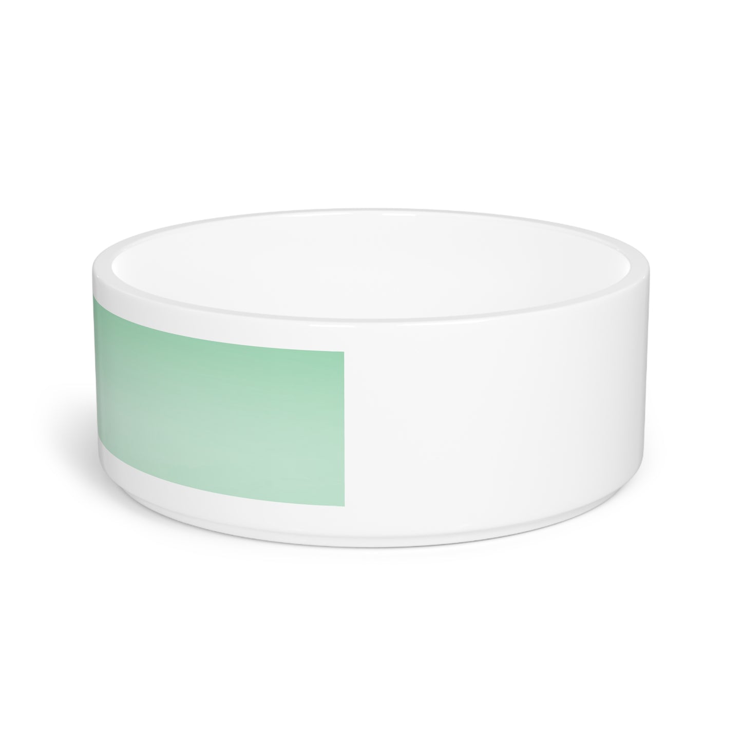 Mint Fade 16 oz Pet Bowl