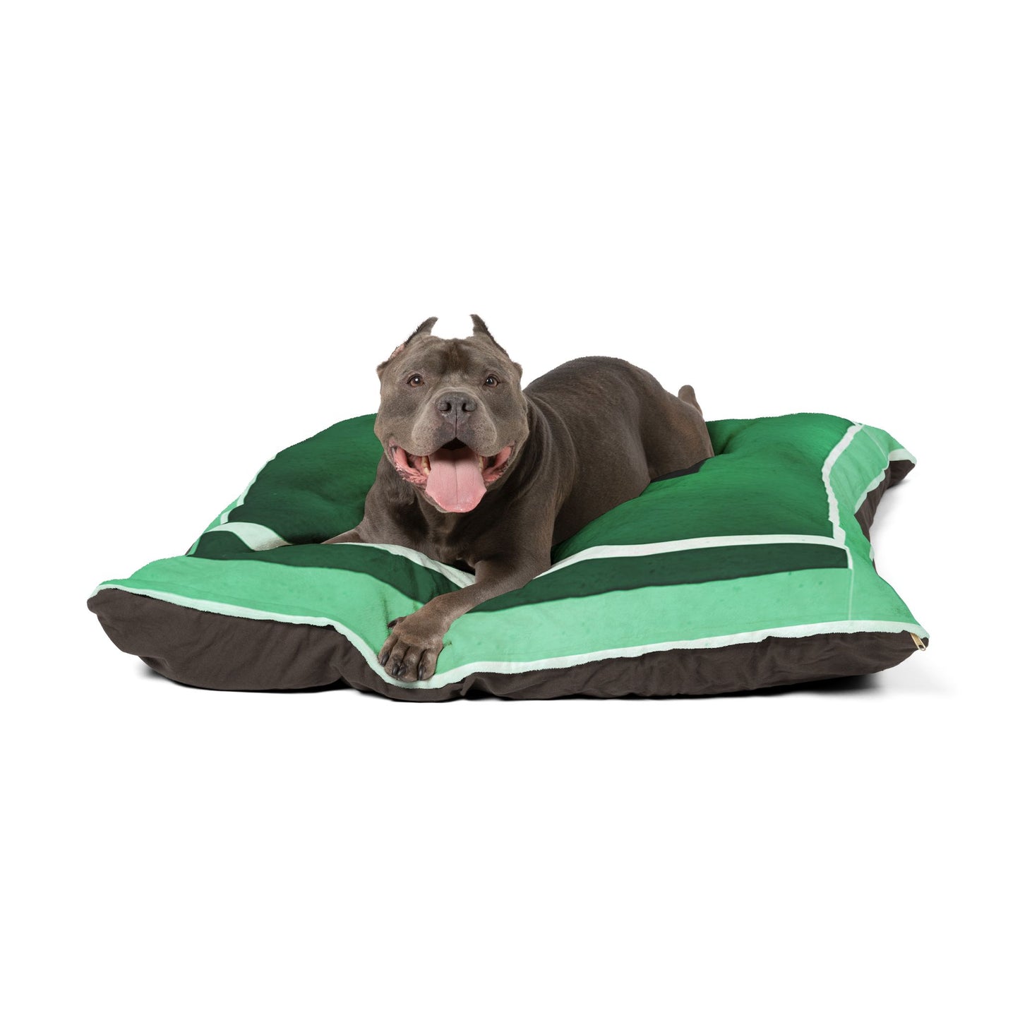 Mint Shadow 50" × 40" Pet Bed