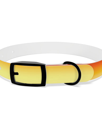 Phoenix Fade Small Dog Collar