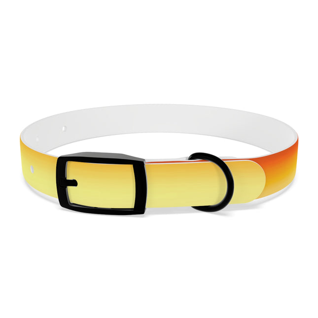 Phoenix Fade Small Dog Collar
