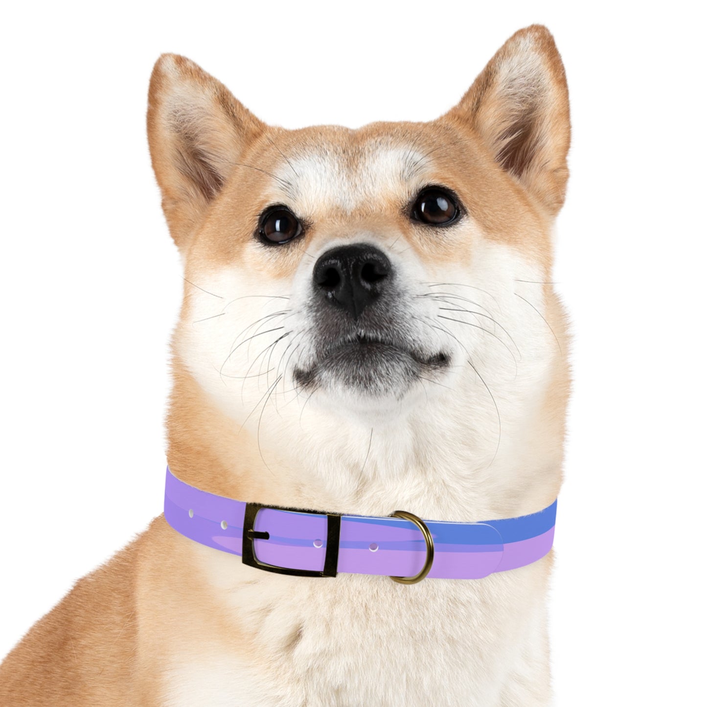 Pastel Purple Family Patches Medium Dog Collar