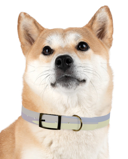 Pastel Soft Blue and Soft White Patches Medium Dog Collar