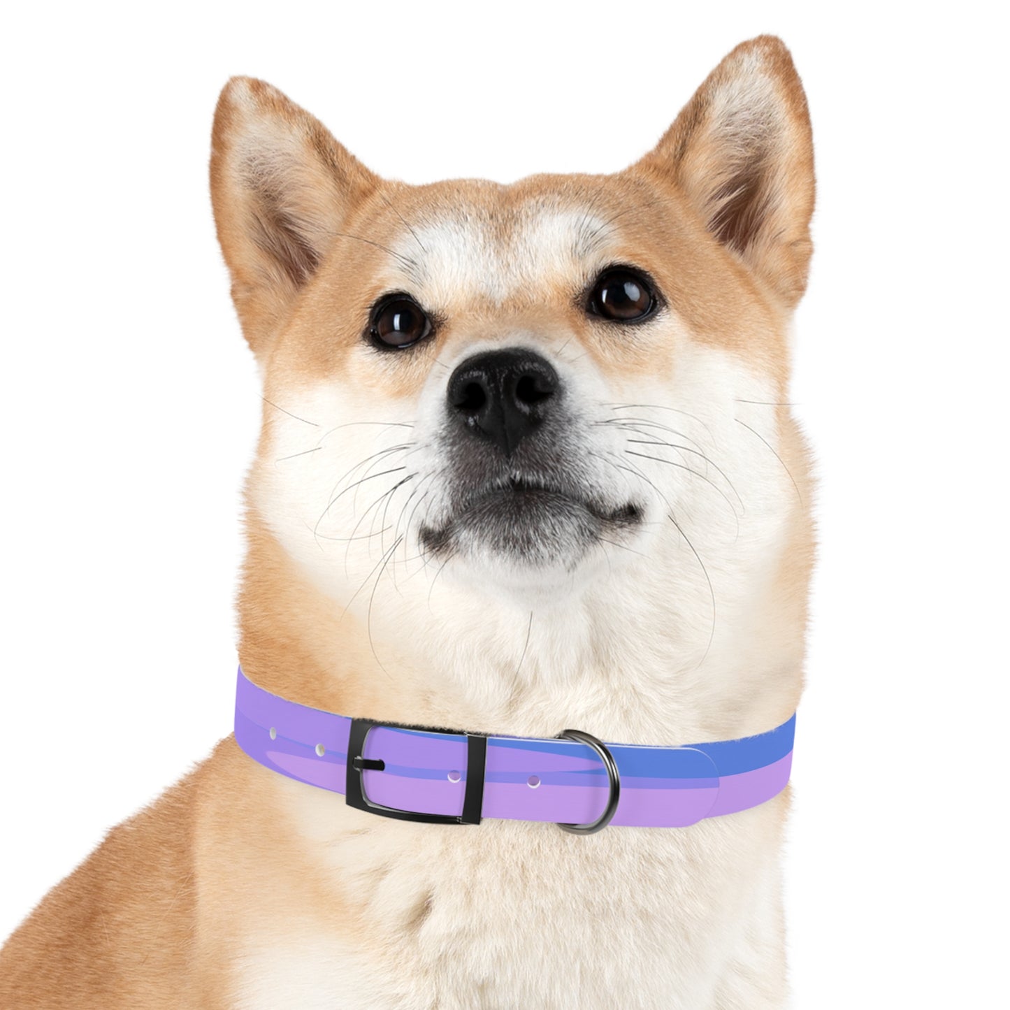 Pastel Purple Family Patches Large Dog Collar