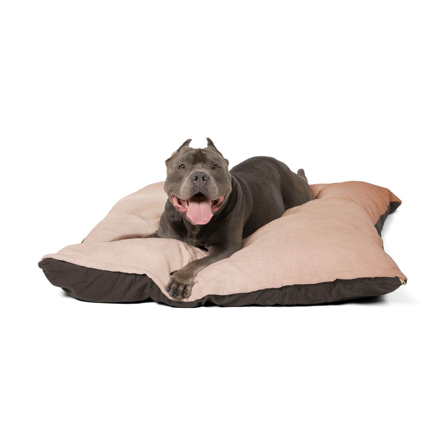Soft Fade 50" × 40" Pet Bed
