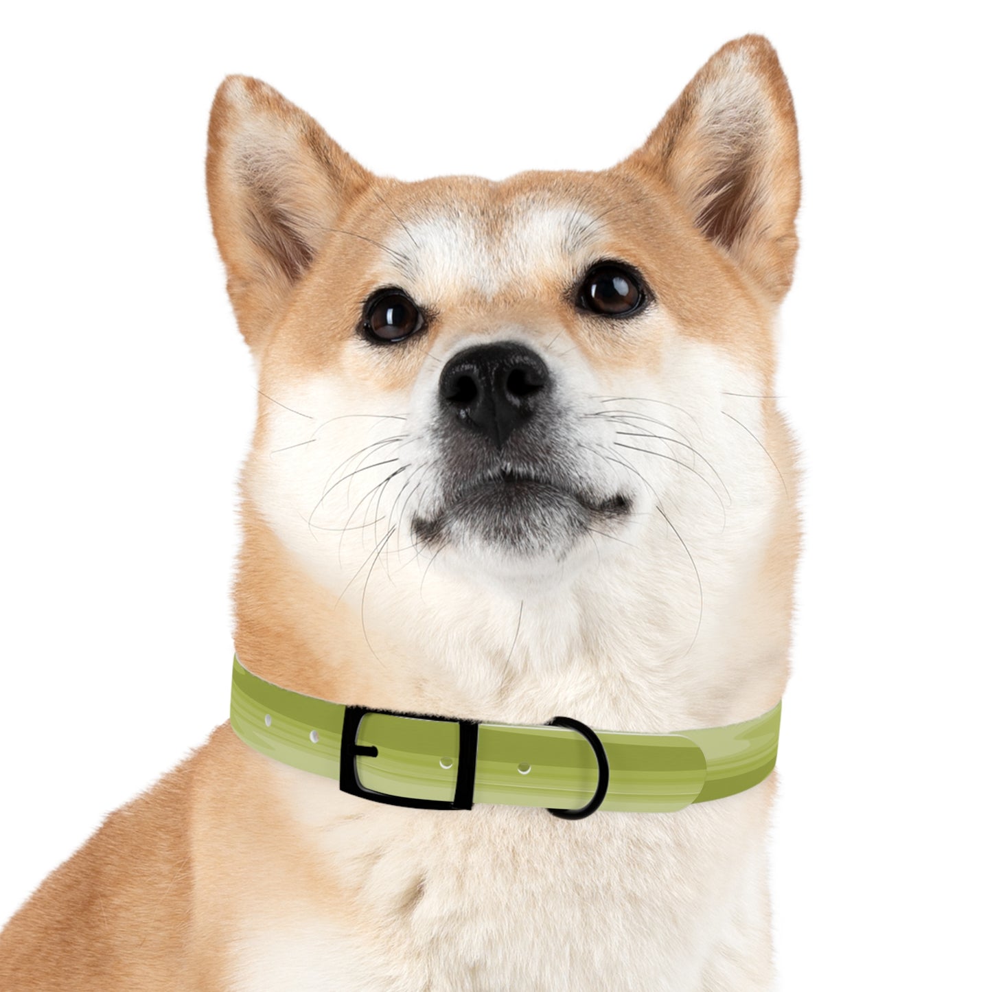 Lemon Wavey Large Dog Collar