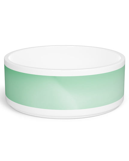 Mint Fade 16 oz Pet Bowl