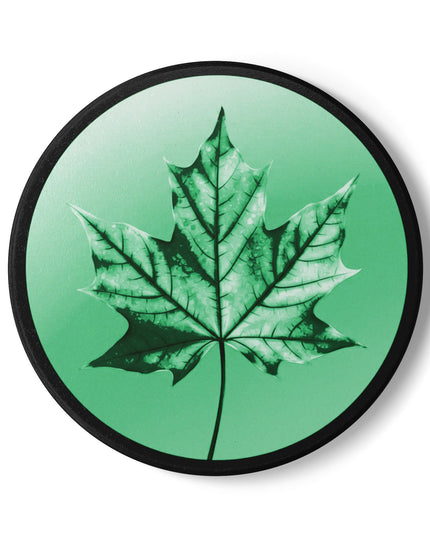 Mint Green Maple Leaf 4" x 4" Round Ceramic Coaster