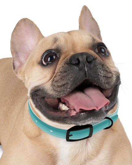Tif Green Wavey Small Dog Collar