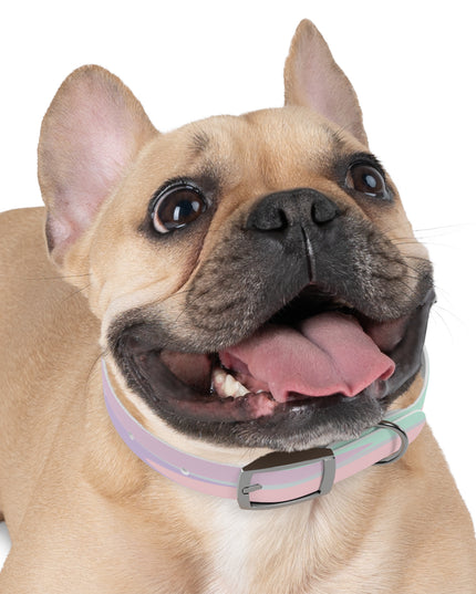 Pastel Peach and Soft Green Patches Small Dog Collar