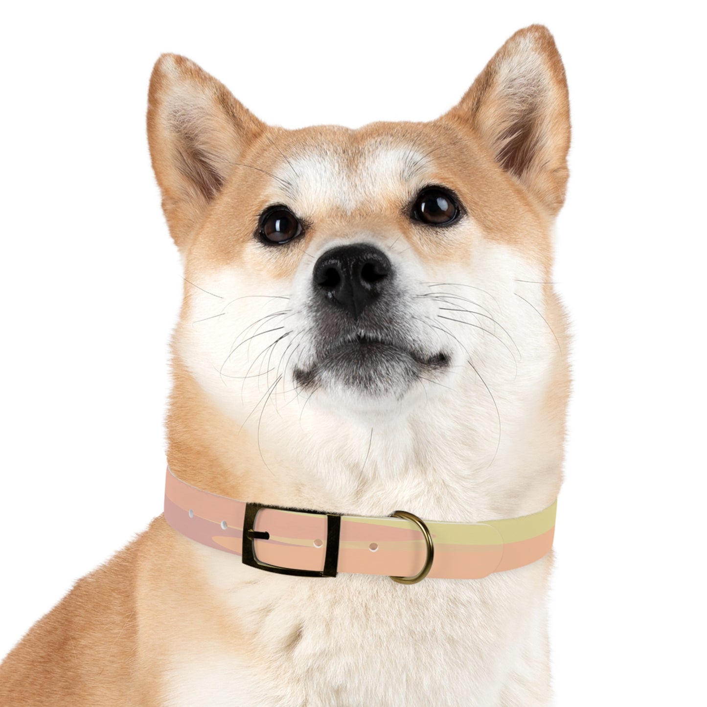 Pastel Hot Peach Patches Medium Dog Collar