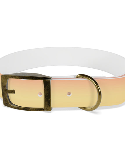 Hot Peach Fade Medium Dog Collar