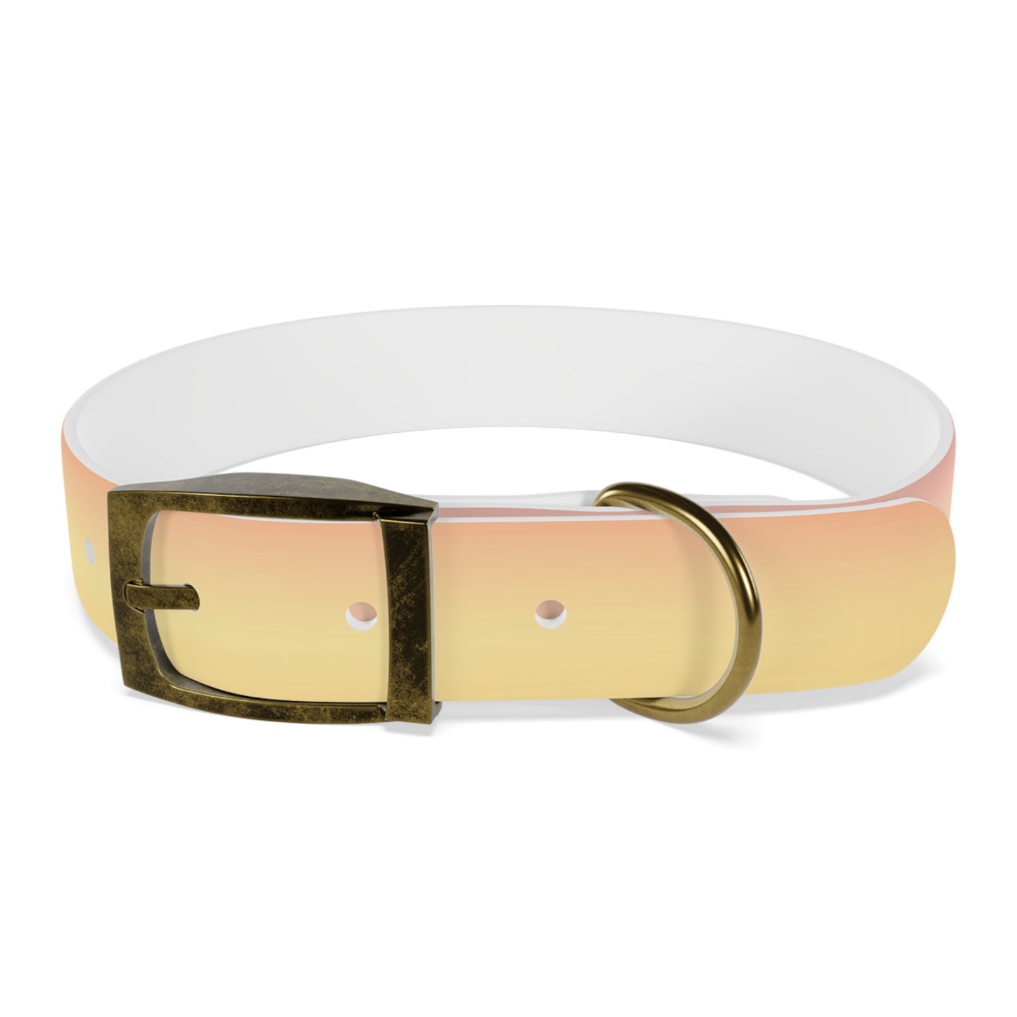 Hot Peach Fade Medium Dog Collar