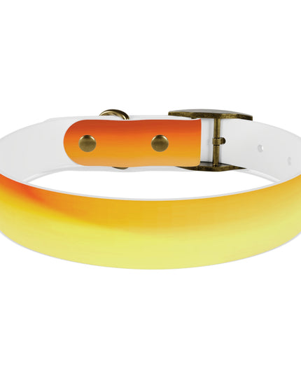 Phoenix Fade Medium Dog Collar