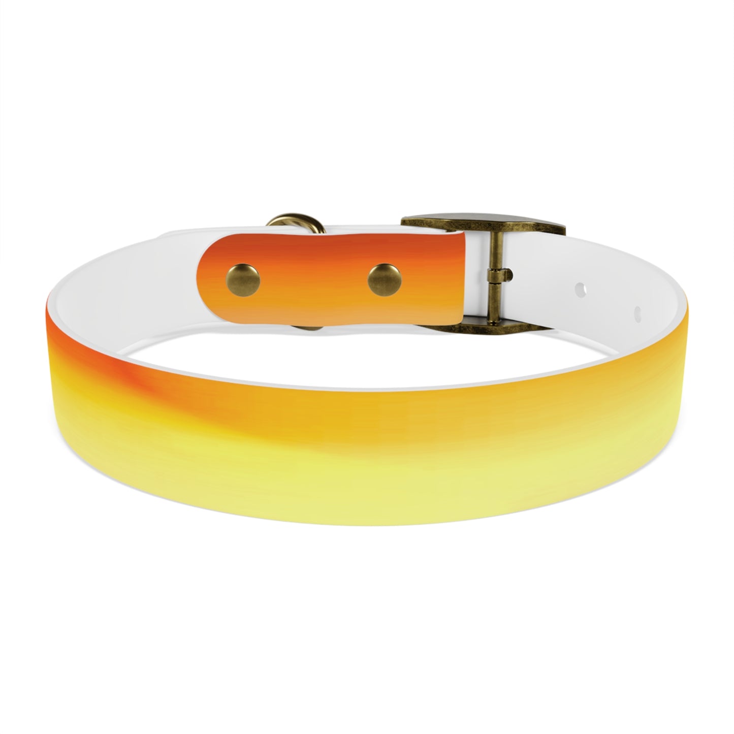 Phoenix Fade Medium Dog Collar