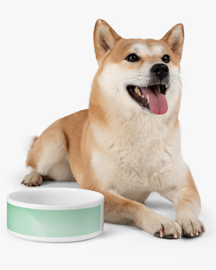 Mint Fade 16 oz Pet Bowl