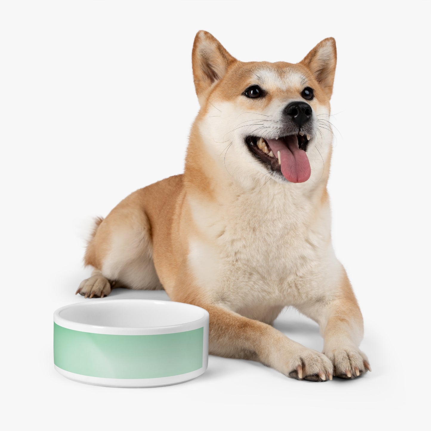 Mint Fade 16 oz Pet Bowl